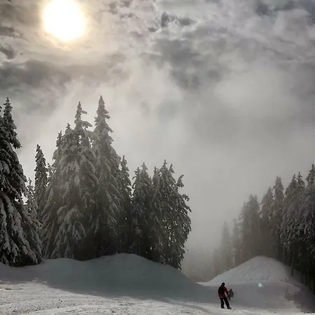 Daire Luxury Montchavin