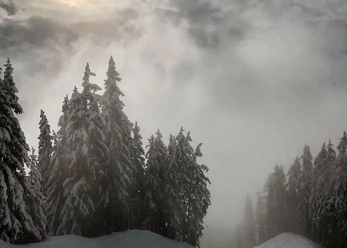 Appartement Luxury Montchavin